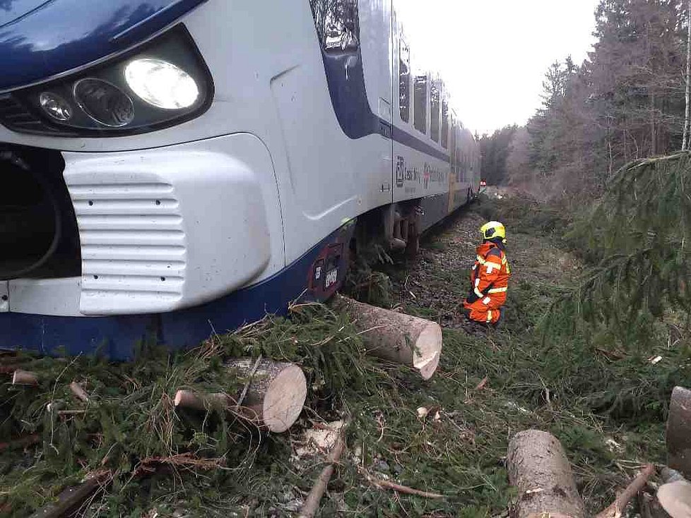 Vítr poškodil střechy, polámal stromy v Česku