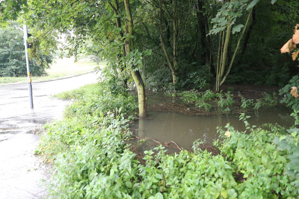 Silné bouřky někde způsobily i lehké záplavy, sucho ale nadále trvá. (7.8.2019)