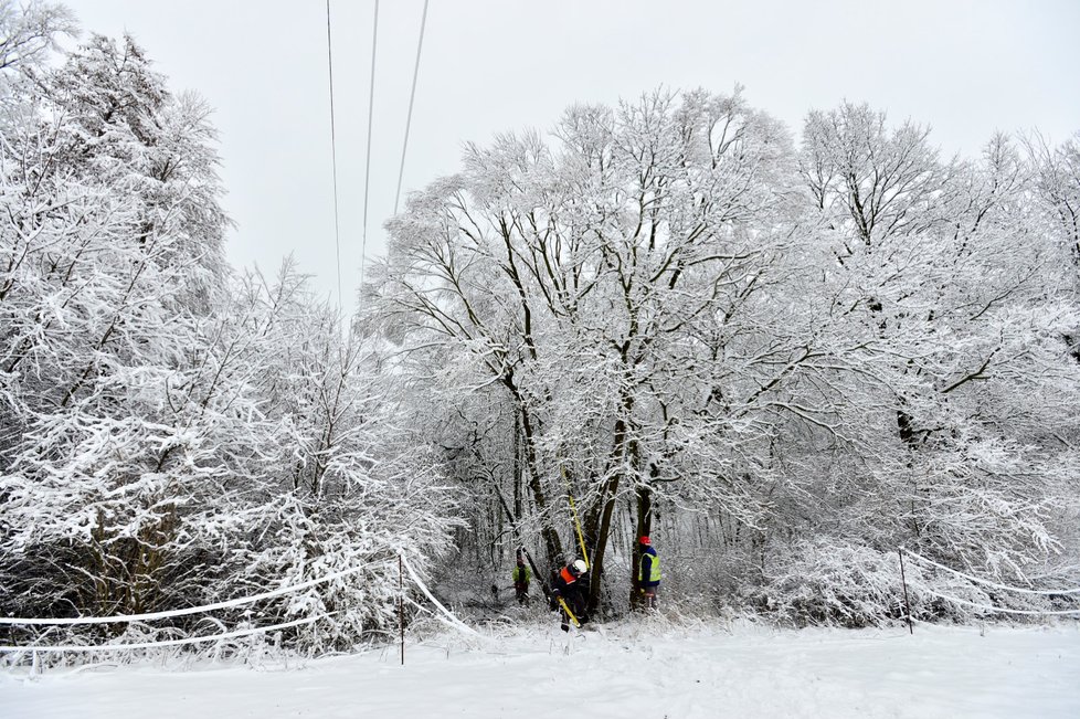 Nejnižší teplotu meteorologové zaznamenali v Orlickém Záhoří na Rychnovsku, kde teploměr ukázal -24,1°C.