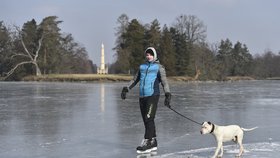 Zamrzlý Zámecký rybník v Lednici na Břeclavsku přilákal bruslaře.