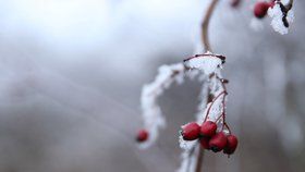 Třetí mrazivé ráno po sobě, na Šumavě bylo -18 °C. Víme, kdy se v Česku oteplí