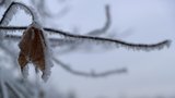 Arktické ráno v Česku: Teploty klesly pod -20 °C. Kdy mrazy poleví?