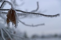 Arktické ráno v Česku: Teploty klesly pod -20 °C. Kdy mrazy poleví?