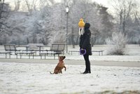 Na horách bílo, v nížinách bláto. Meteoroložka řekla, kdy se dočkáme sněhu