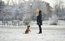 Počasí, které meteorologové nečekali? Přižene se dříve, než si myslíte!