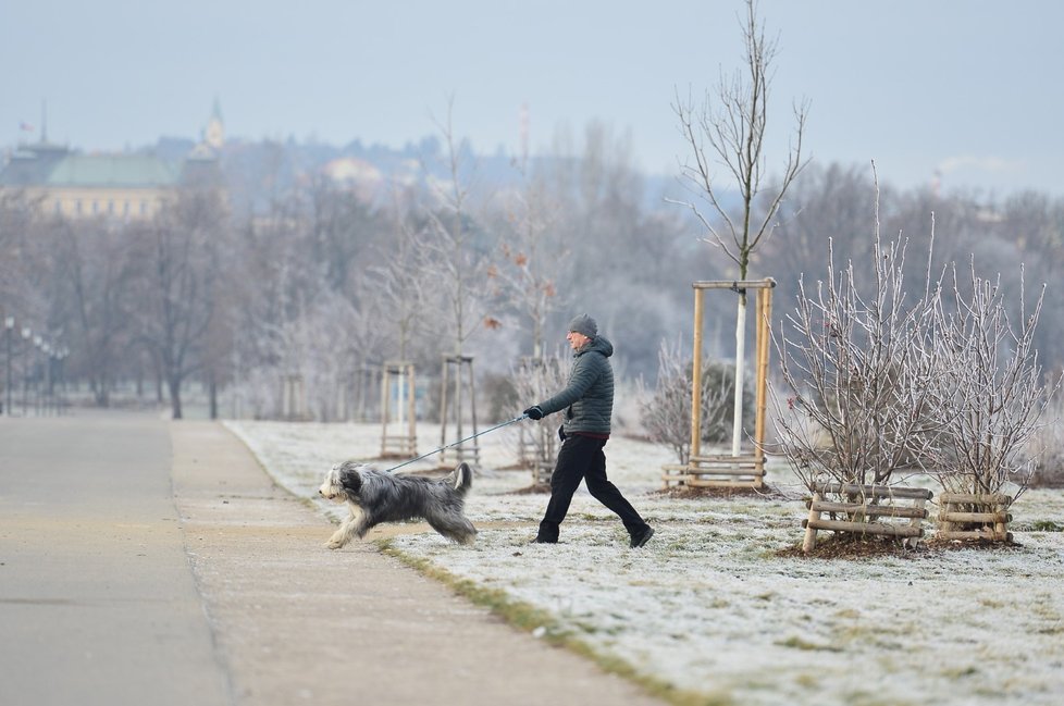 Moravu a Slezsko čeká až záporných 18 stupňů Celsia, meteorologové varují před omrzlinami