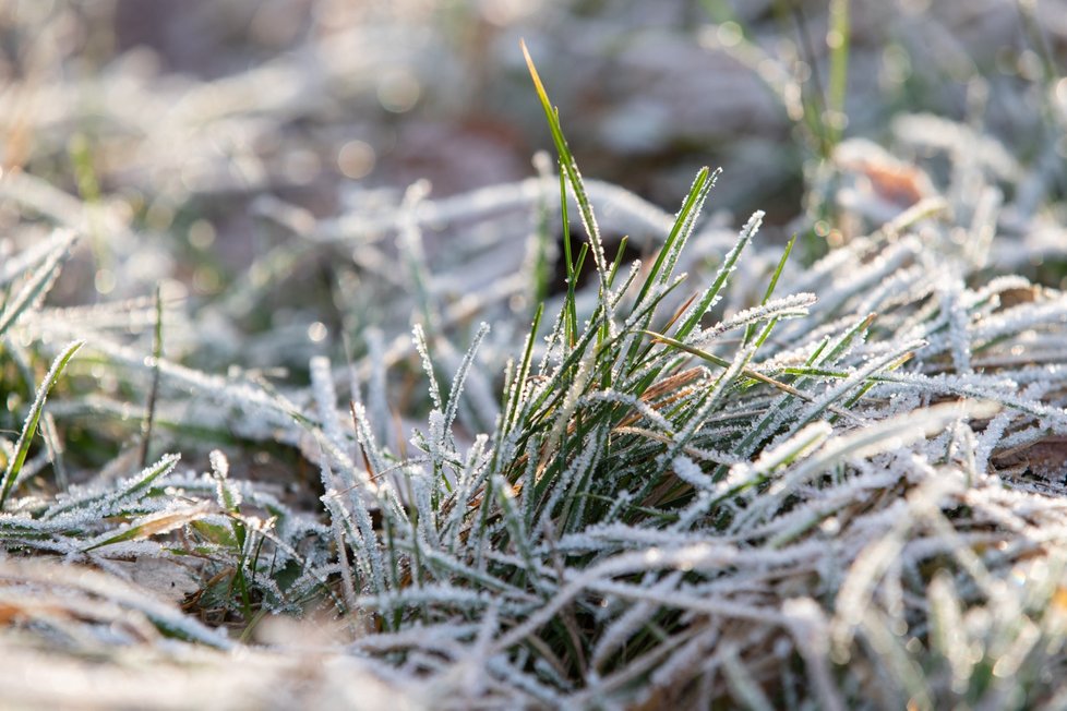 Moravu a Slezsko čeká až záporných 18 stupňů Celsia, meteorologové varují před omrzlinami