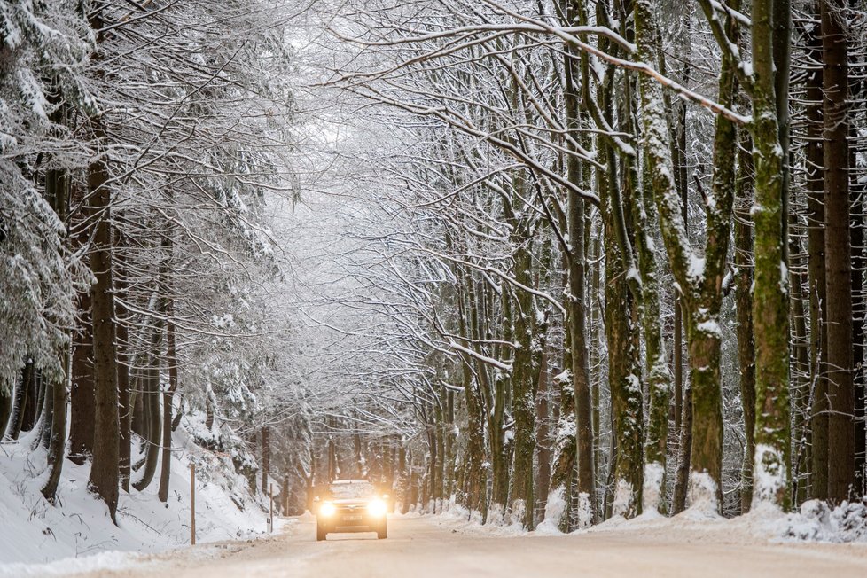O víkendu mohou mrznoucí mlhy tvořit silniční námrazy.