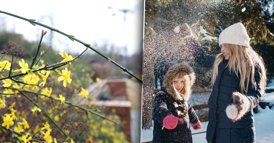 Období nadprůměrných teplot skončí ve čtvrtek