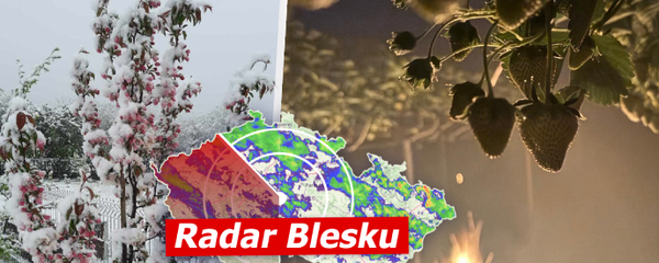 Intenzivní sněžení a nebezpečí pro ovocné stromy: Zima se potáhne do čtvrtka, sledujte radar Blesku  
