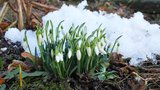 „Jarní“ únor se nevzdává. Na severu Čech naměřili skoro 17 stupňů, teplo bude i v úterý
