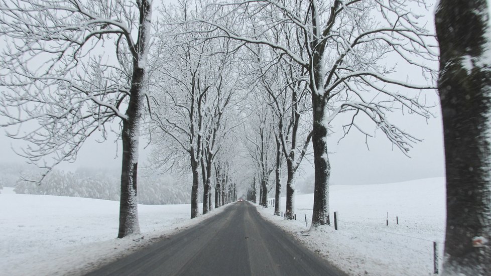 Do Česka se vrátila zima.