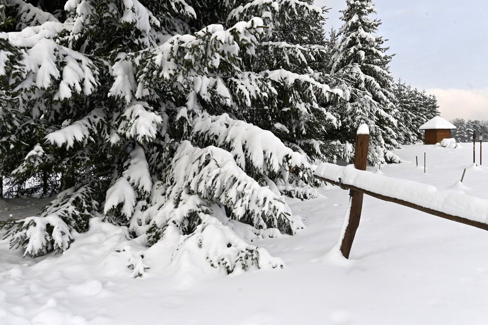 Sněhová nadílka v Karlovarském kraji.