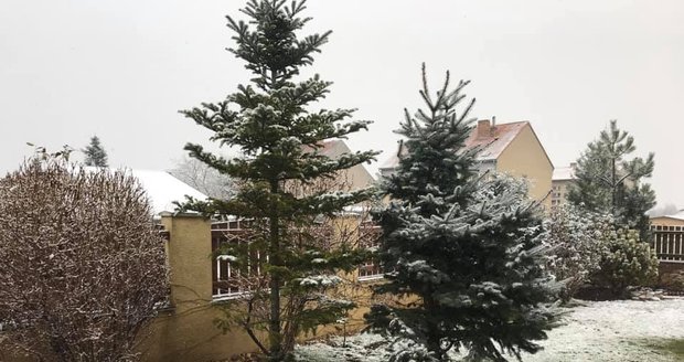 Exministr Zdeněk Škromach (ČSSD) hlásil 2. 12. 2019 z Rohatce na Hodonínsku první letošní sníh.