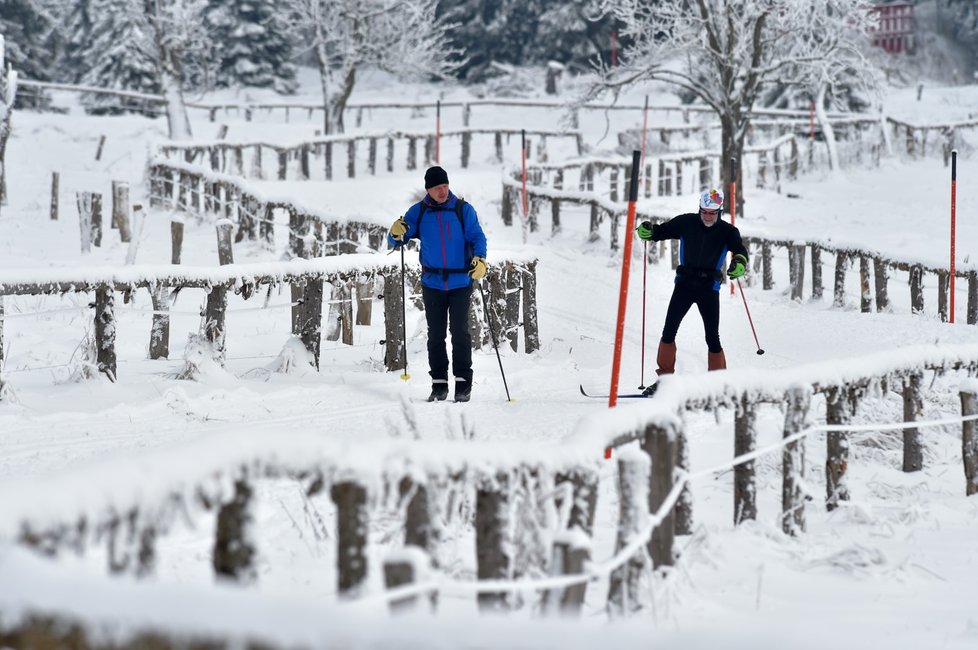 Upravené trasy využívají v okolí Božího Daru na Karlovarsku stovky běžkařů, ale také pěší turisté (12. 12. 2021)