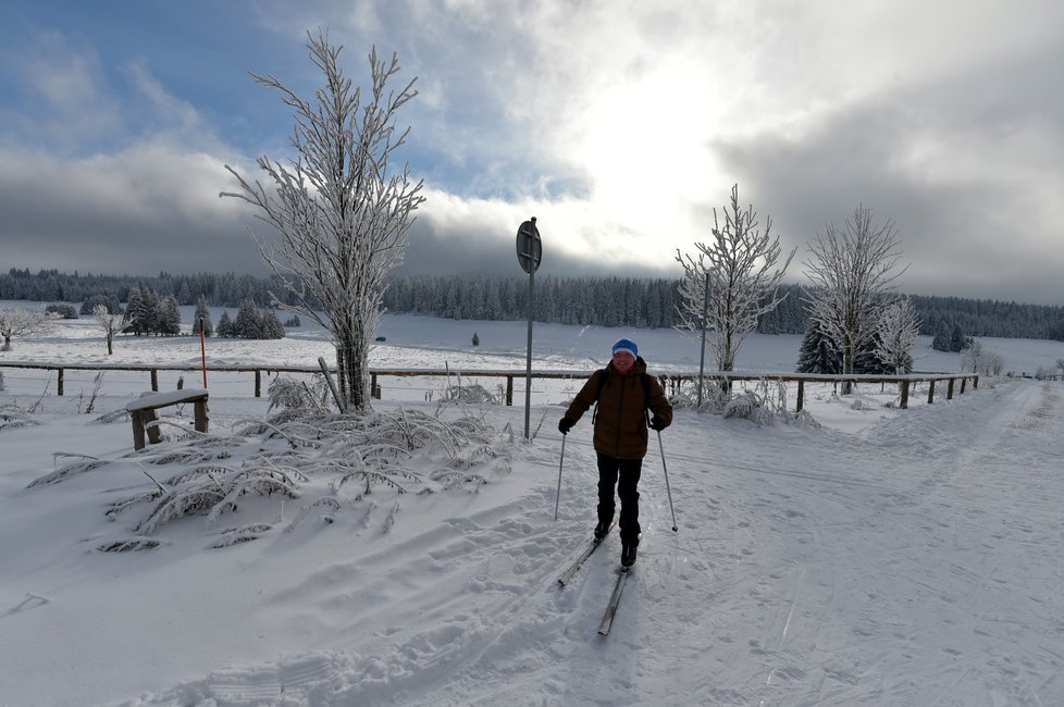 Upravené trasy využívají v okolí Božího Daru na Karlovarsku stovky běžkařů, ale také pěší turisté (12. 12. 2021)