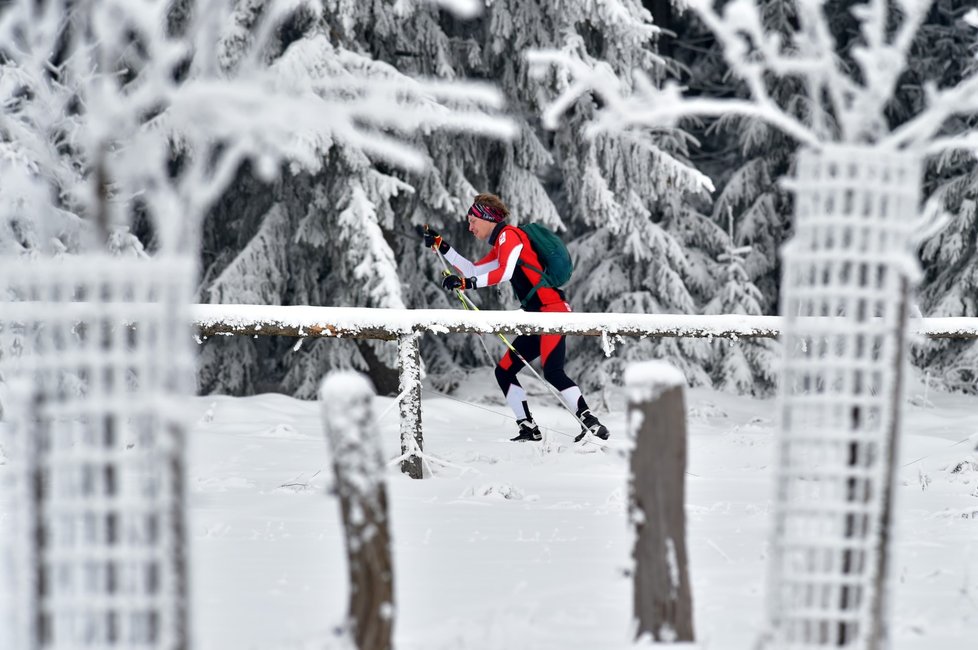 Upravené trasy využívají v okolí Božího Daru na Karlovarsku stovky běžkařů, ale také pěší turisté (12. 12. 2021)