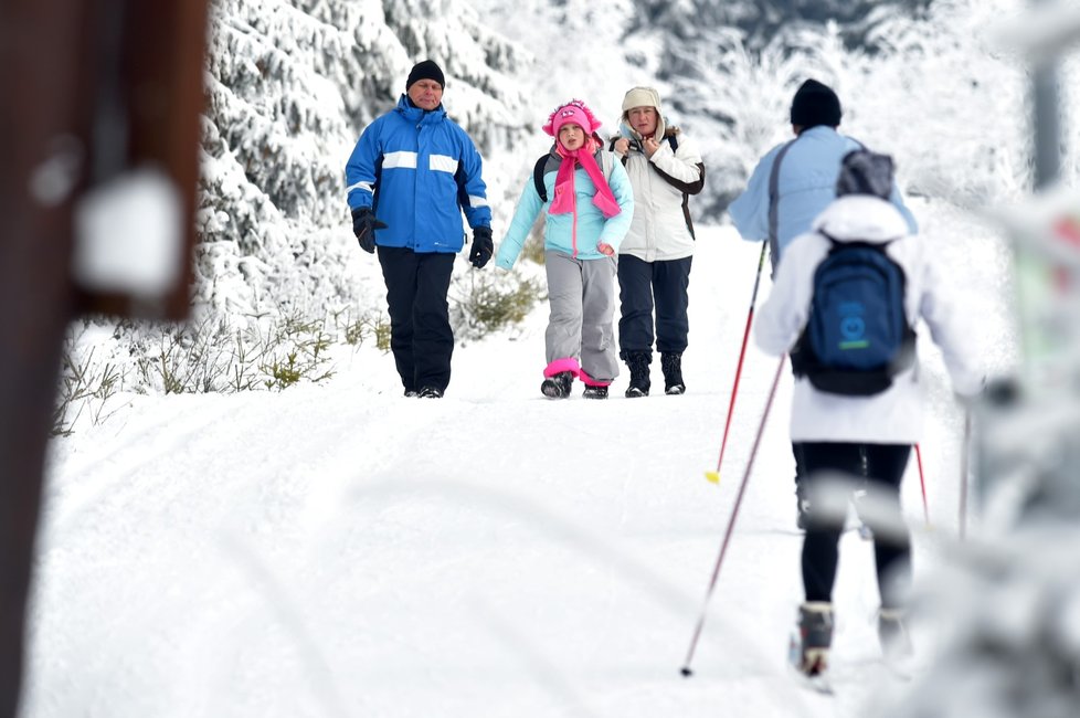 Upravené trasy využívají v okolí Božího Daru na Karlovarsku stovky běžkařů, ale také pěší turisté (12. 12. 2021).