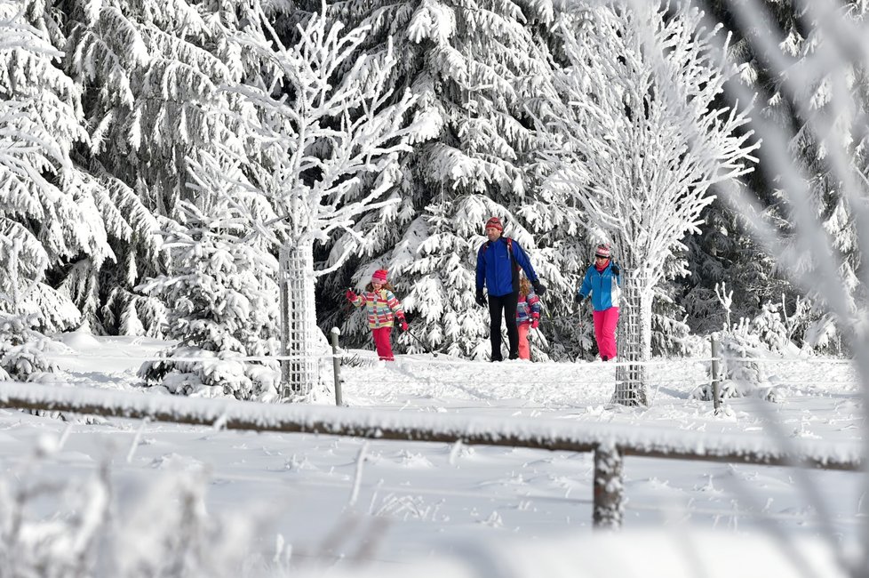 Upravené trasy využívají v okolí Božího Daru na Karlovarsku stovky běžkařů, ale také pěší turisté (12. 12. 2021)