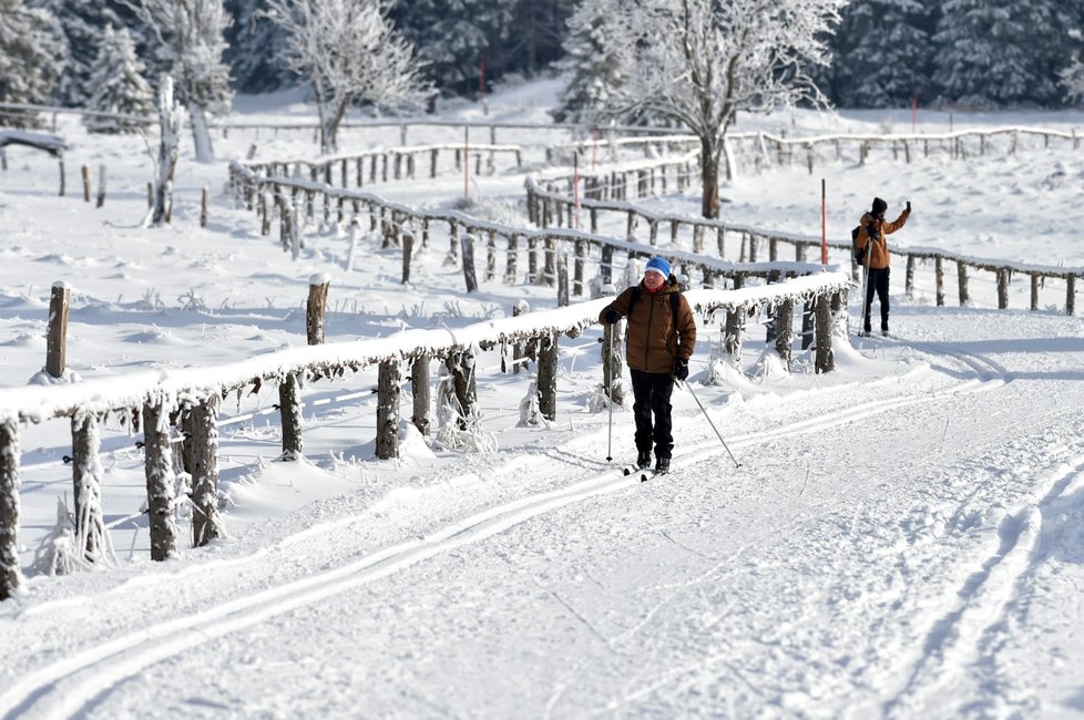 Upravené trasy využívají v okolí Božího Daru na Karlovarsku stovky běžkařů, ale také pěší turisté (12. 12. 2021)