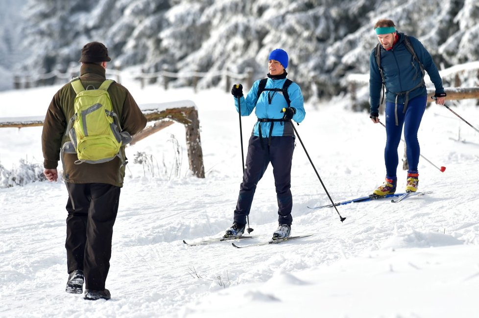 Upravené trasy využívají v okolí Božího Daru na Karlovarsku stovky běžkařů, ale také pěší turisté (12. 12. 2021)