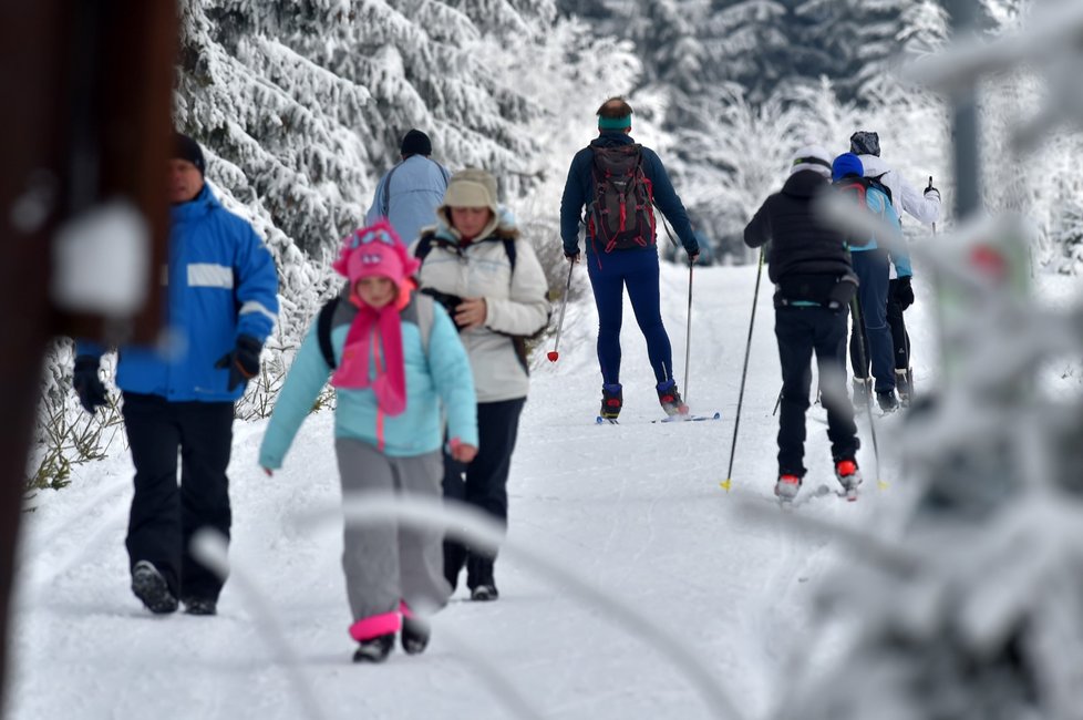 Upravené trasy využívají v okolí Božího Daru na Karlovarsku stovky běžkařů, ale také pěší turisté (12. 12. 2021).