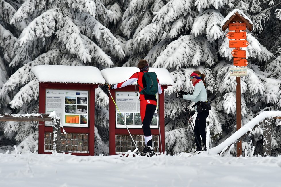 Upravené trasy využívají v okolí Božího Daru na Karlovarsku stovky běžkařů, ale také pěší turisté (12. 12. 2021)