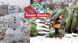 Za 14 dní je Štědrý den. Bude letos bílý? Předpověď se rýsuje, sledujte radar Blesku