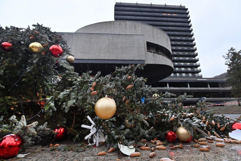 Zlomený vánoční strom před Thermalem ve Varech (23.12.2023)