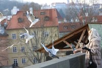 Poslední dvě zimy byly nejteplejší v historii Česka