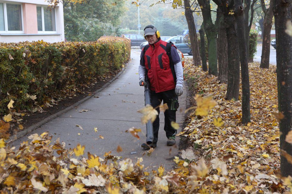 Podzim v Česku: Déšť a silný vítr