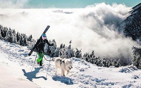 Pokud si letos chcete udělat bílé Vánoce, vyrazte na hory. Tak to nyní vypadá například v Krkonoších.