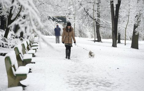 Na Moravě napadne dnes místy až 40 centimetrů sněhu.