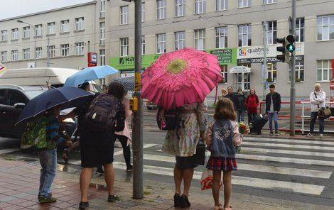 Ke slovu znovu přijdou deštníky.