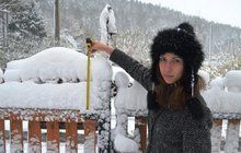 Na Česko se žene psí počasí: Sníh, mráz a silný vítr! 