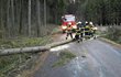 Kmen smrku, který zablokoval silnici na Olomoucku, museli hasiči rozřezat.