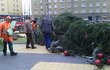 Vánoční strom v Havířově vichr nalomil, hasiči ho museli poslat k zemi ozdobený.