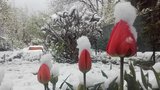Sníh se na konci dubna vrátil do Česka. V neděli bude ale až 18 stupňů