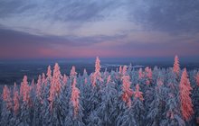 Udeřily mrazy! Na Rokytské slati bylo –32,3 °C!