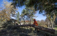 Veletoč počasí s tropickou nocí na Ostravsku: Teplotní šok a orkán!