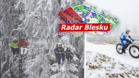Zima trápí Česko: Padají stromy a hrozí přívaly sněhu! Sněžku zasáhl orkán, sledujte radar Blesku