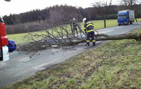 Po celém Česku padaly stromy. V Krhově na Blanensku vichr převrhl i dva kamiony.