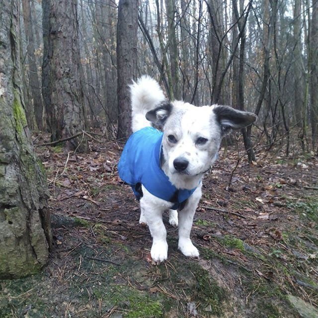 Někde sněženky, jinde sníh a déšť. Tak Češi zachytili rozmarné počasí na Instagramu.