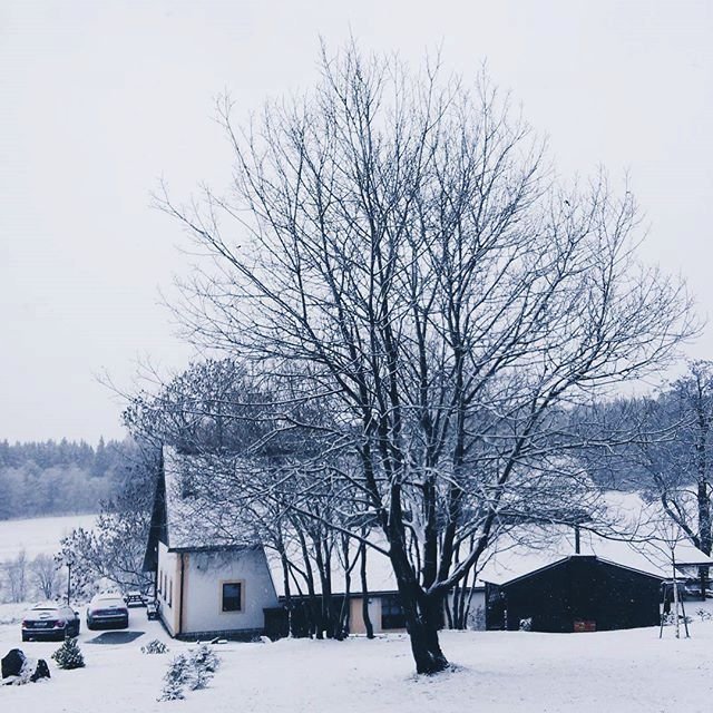 Někde sněženky, jinde sníh a déšť. Tak Češi zachytili rozmarné počasí na Instagramu.