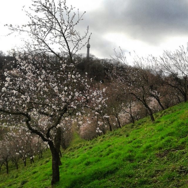 Letošní vrtkavá zima očima Čechů na Instagramu