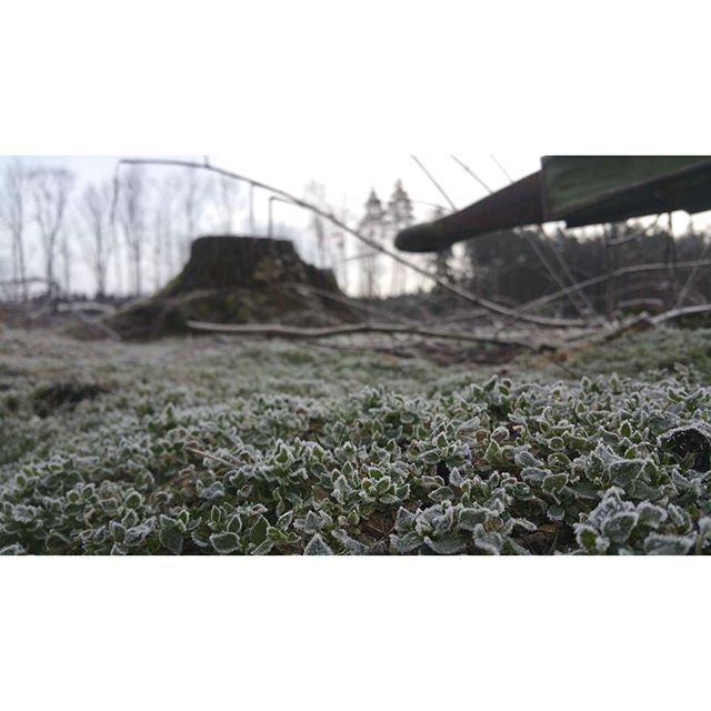Počasí v Česku na Instagramu