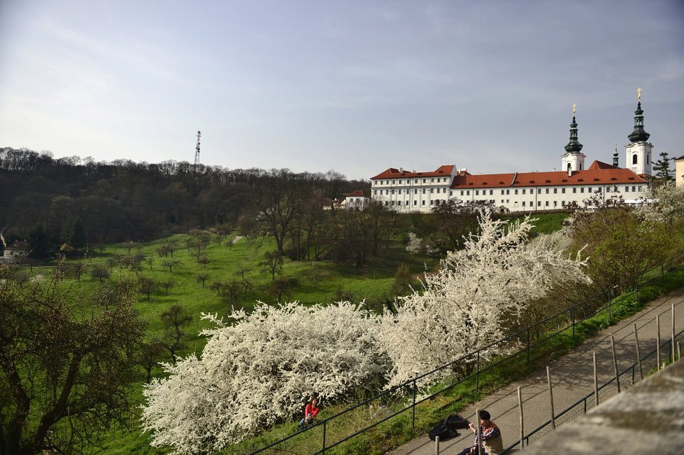 Užívejte jara, teploty budou opět klesat