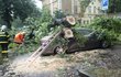 Po zásahu bleskem při průtrži mračen spadl obrovsk ý strom na osobní vůz zaparkovaný v areálu opavské nemocnice.