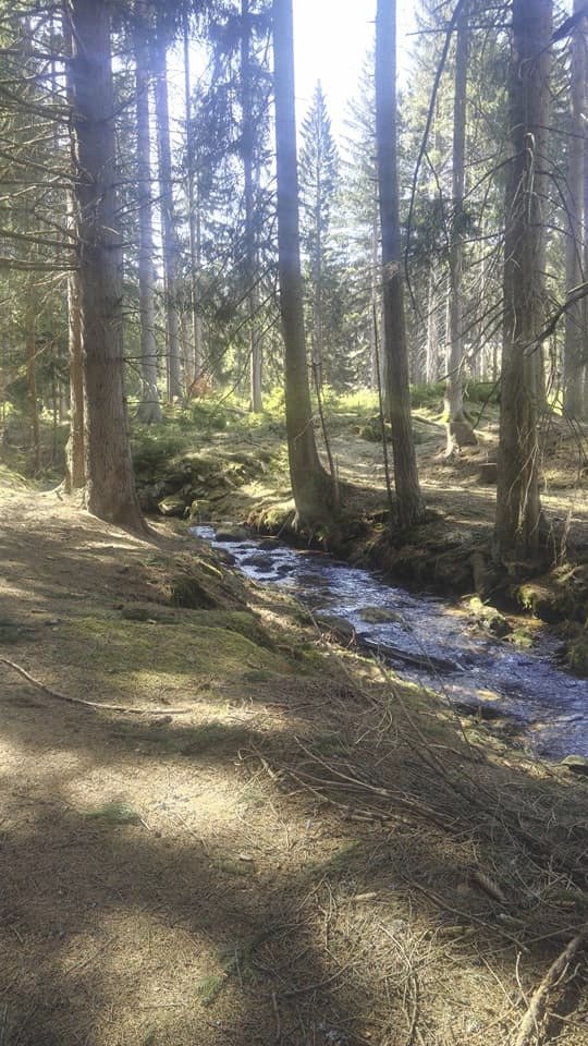 Cesta vede lesem, přes hory a dokonce přes řeku