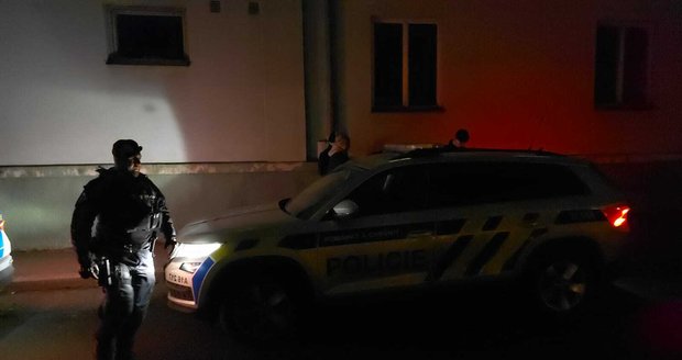 Policisté zadrželi muže, který vyhrožoval, že se vrátí do vinohradské nemocnice se zbraní. (3. únor 2024)